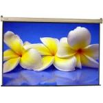 Ảnh Màn chiếu treo tường 113 inch(2m03x2m03)