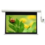 Màn chiếu điện 300 inch